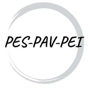 Corsi addetti lavori elettrici PES PAV PEI